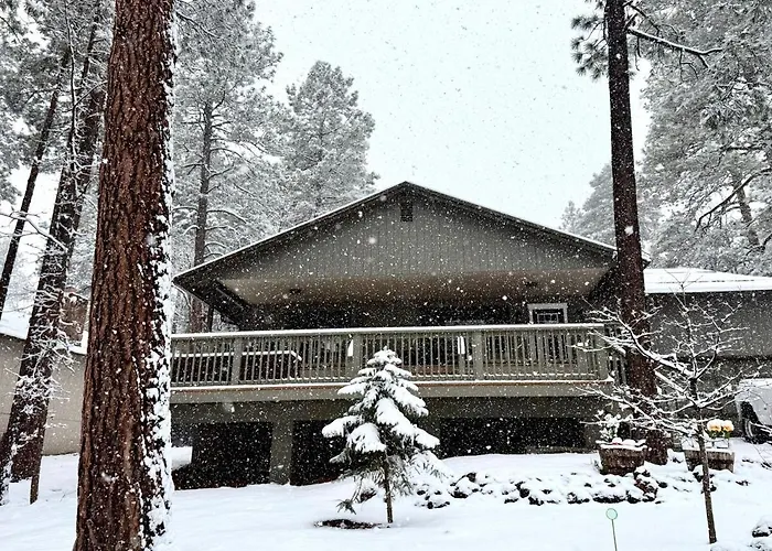 "decked Out" Luxury Treehouse Holiday home